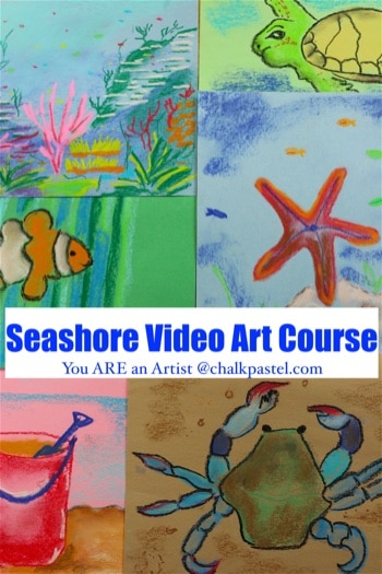 Seashore Video Art Course for All Ages