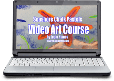 Seashore Video Art Course for All Ages