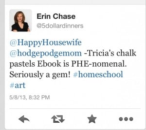 chalk pastel ebook is phenomenal - Erin Chase