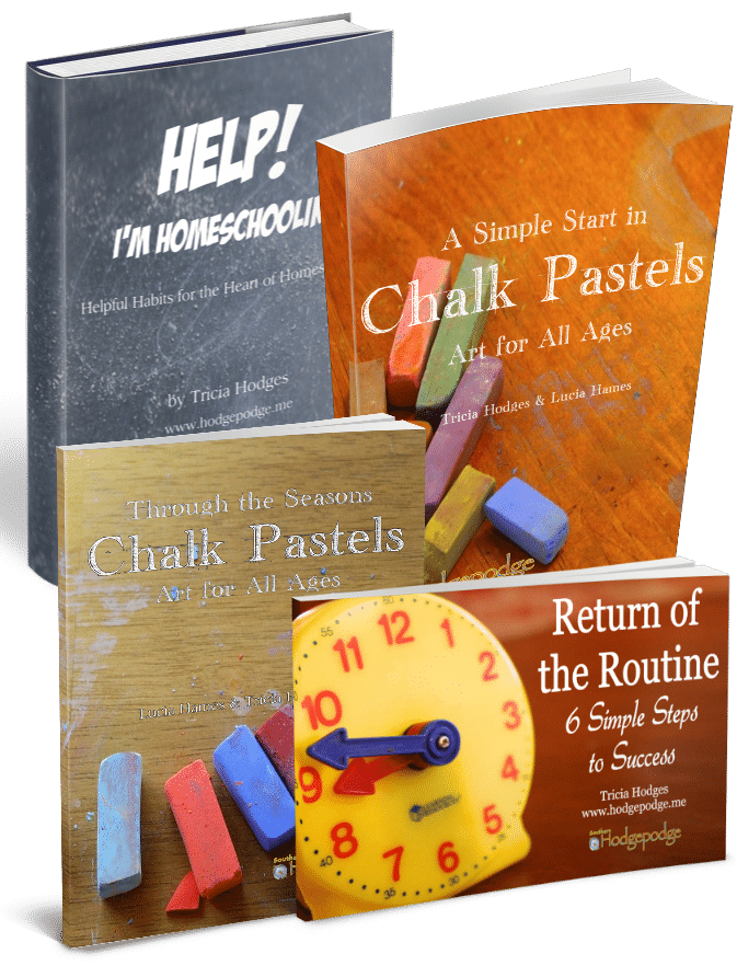 Help for Homeschool Bundle