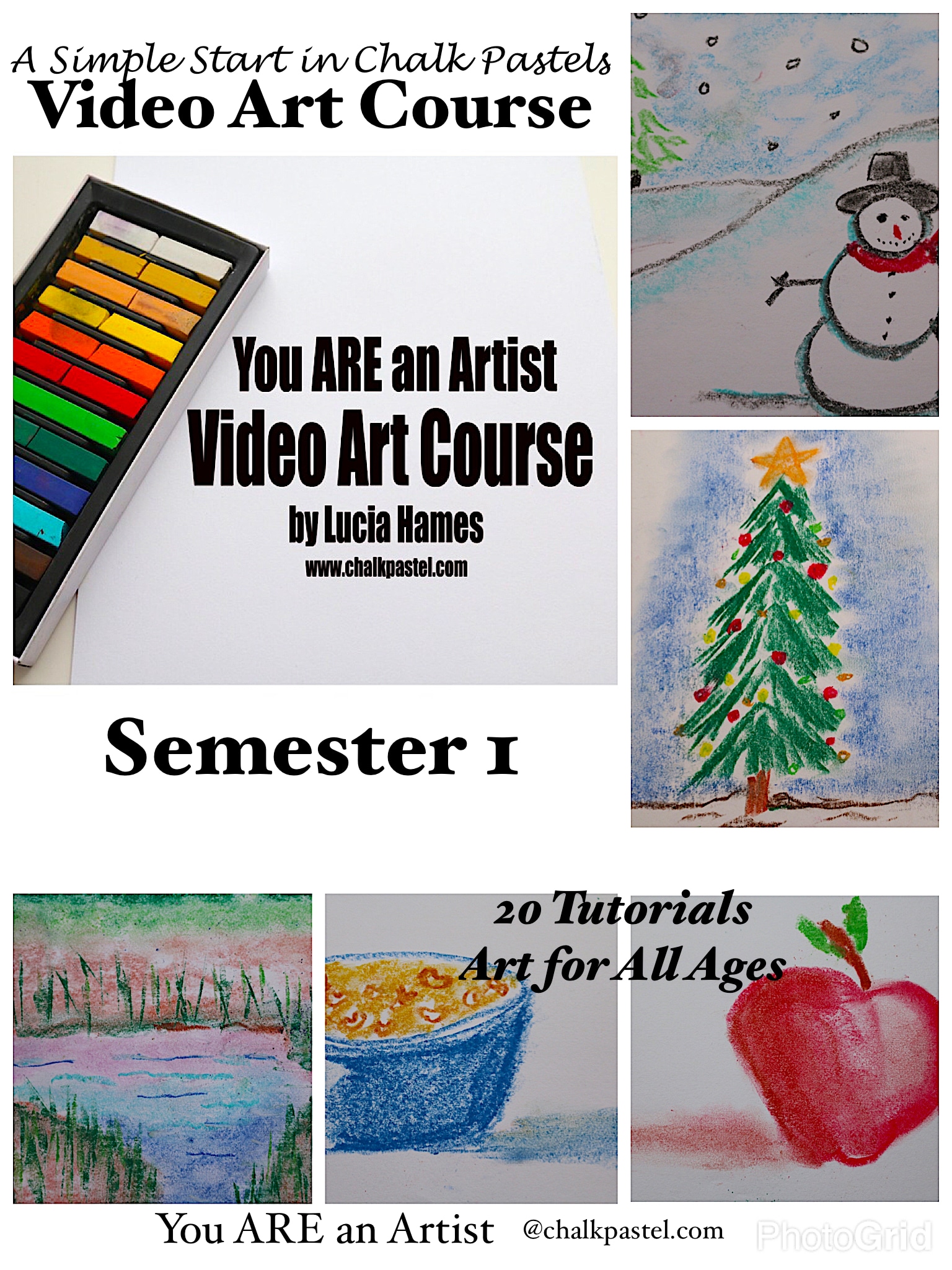 A Simple Start in Chalk Pastels Video Art Course Semester 1 - lessons from a Master Artist you can take over and over again from any device!