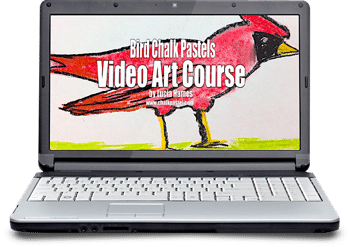 Bird Video Art Course for All Ages