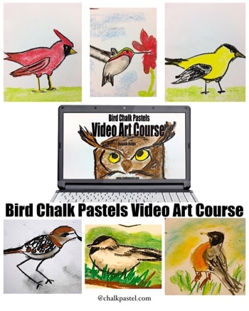Bird Video Art Course for All Ages