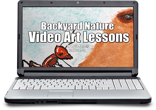 Backyard Nature Video Art Lessons