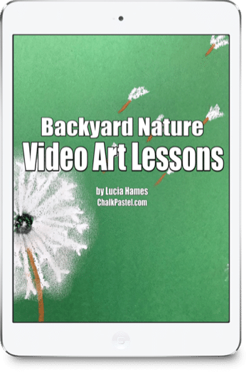 Backyard Nature Video Art Lessons