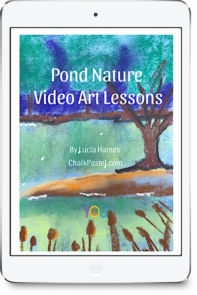 Pond Nature Video Art Lessons