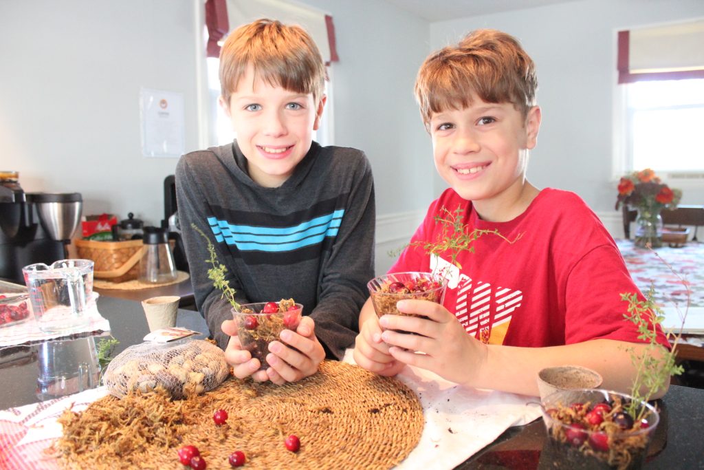 Make a cranberry bog in a cup craft!