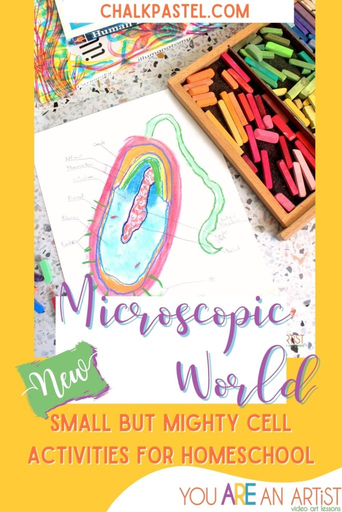 These online cell activities for your homeschool are multisensory and appropriate for all ages. Online cellular biology lessons included.
