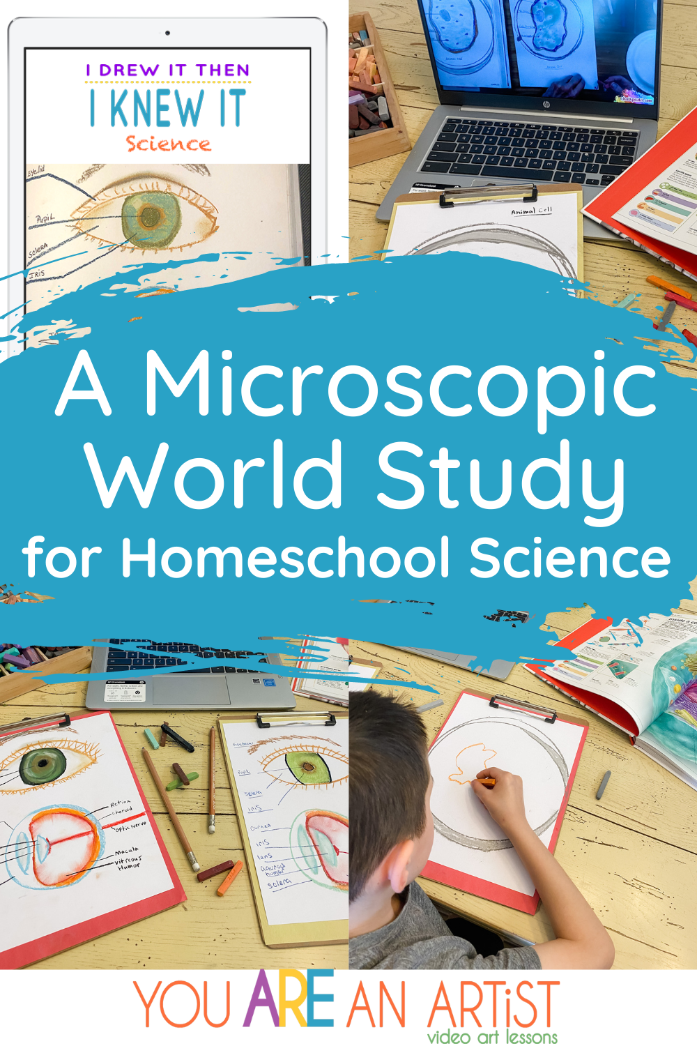 An excellent way to get your children excited about science can be through exploring the microscopic world. #homeschoolscience #microscopicstudy #sciencecurriculum #sciencestudy 