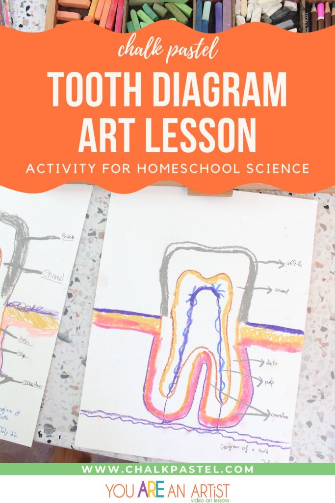 Nana’s video art lesson is a tooth diagram activity that highlights the many-colored wonder of these curious cuspids. Great homeschool science!